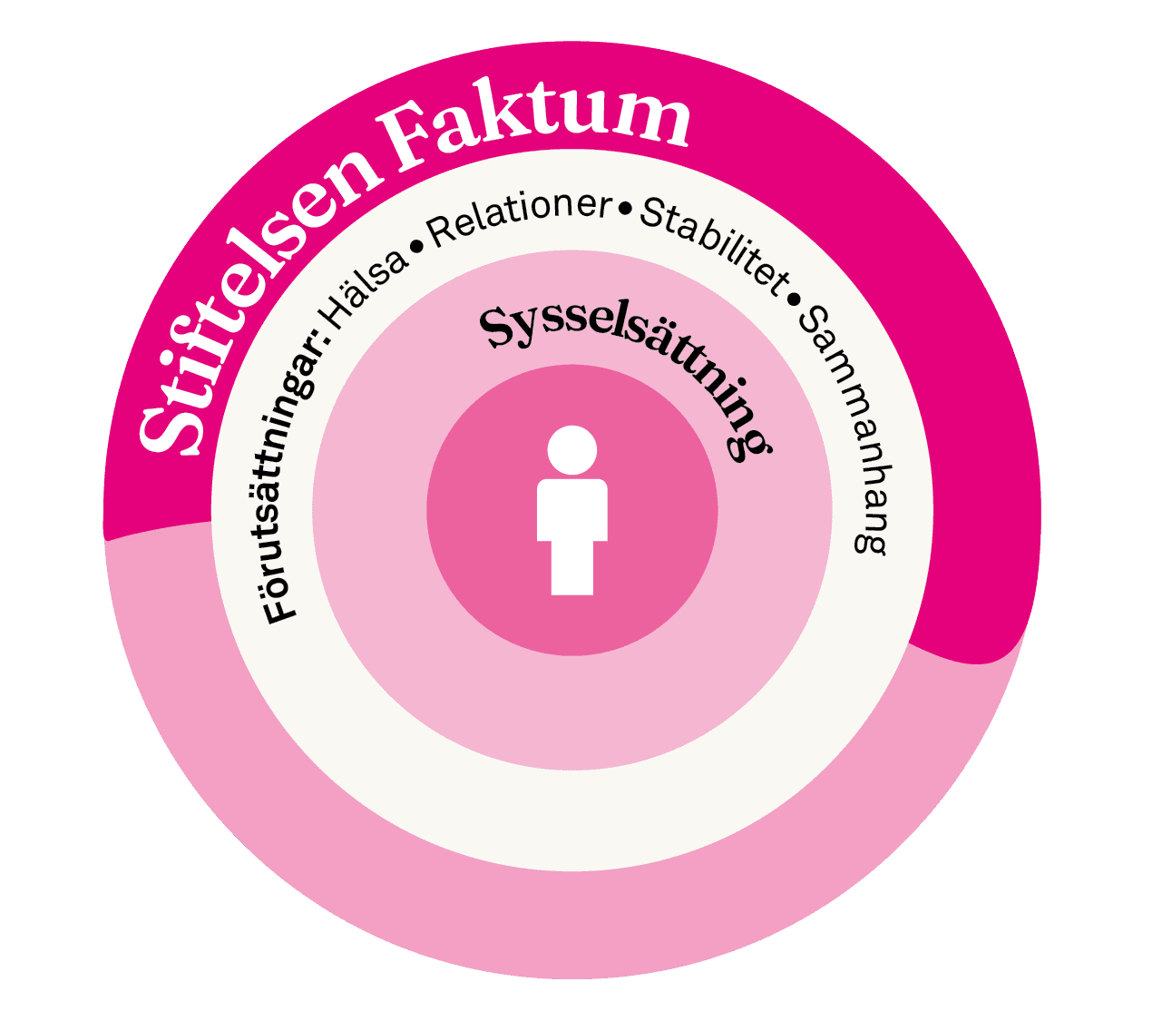 Sysselsättningshjul: sysselsättning i mitten, omgiven av förutsättningar som hälsa, relationer, stabilitet, mental hälsa och sammanhang. Stiftelsen Faktum stärker det runt omkring.